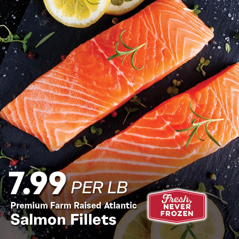 Salmon