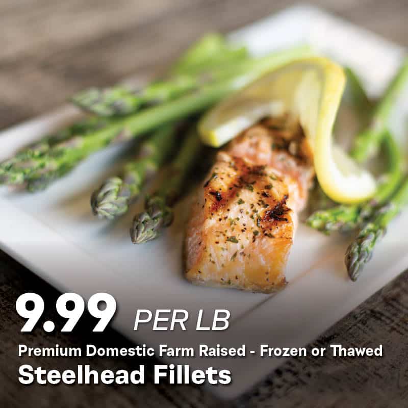 Steelhead